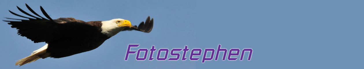FotoStephen